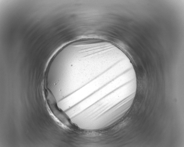 X0000053021100200508051220