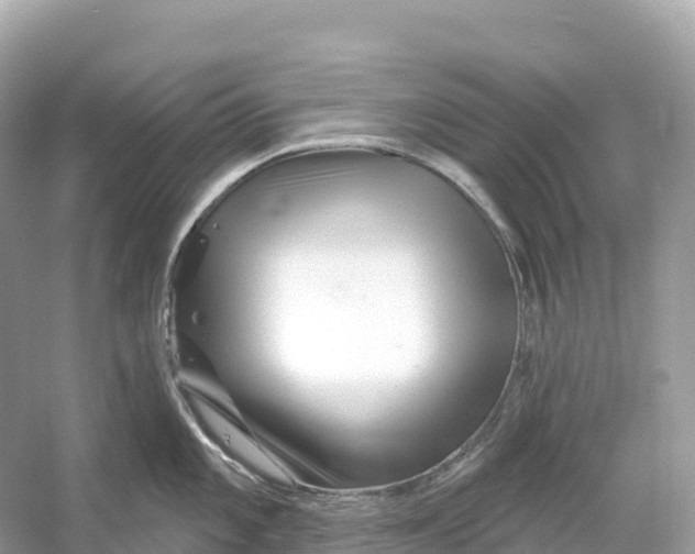 X0000053021101200508051220