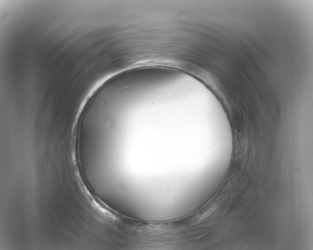 X0000053021102200508051220