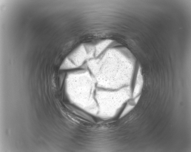 X0000053021106200508051219