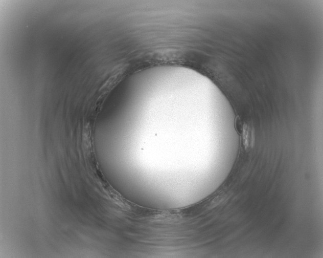 X0000053021107200508051219
