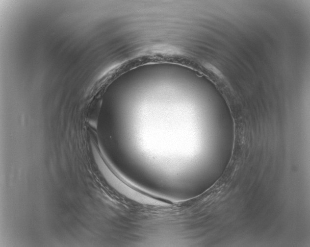 X0000053021112200508051219
