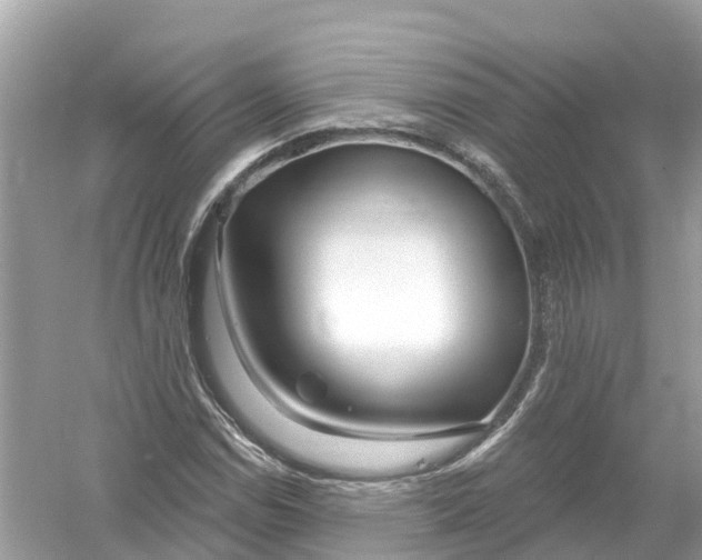 X0000053021114200508051219