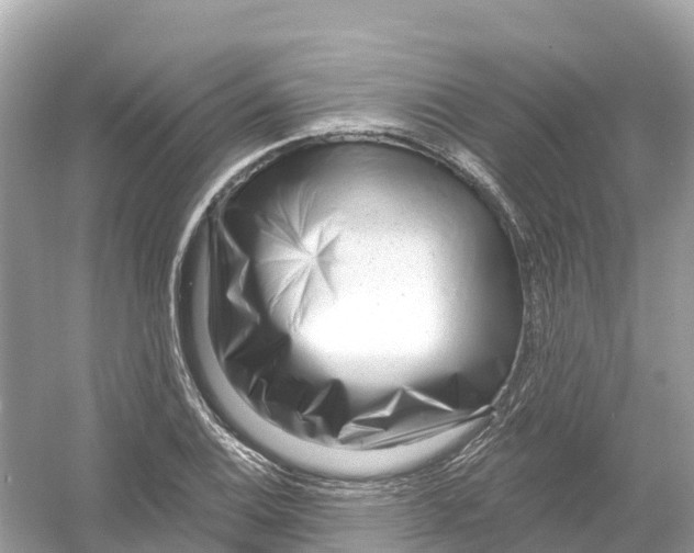 X0000053021124200508051219