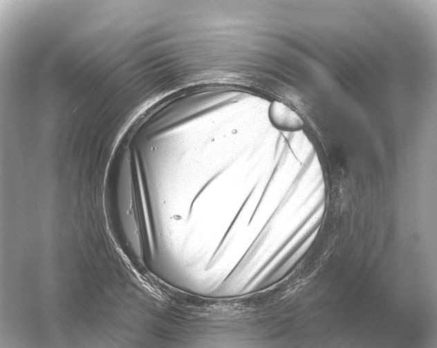 X0000053021125200508051219