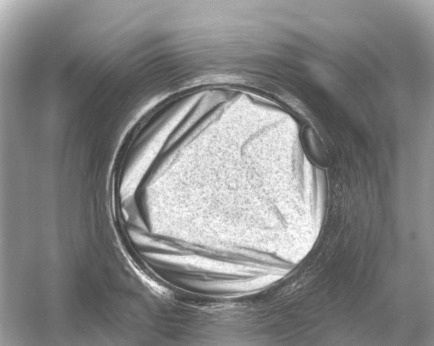 X0000053021127200508051219