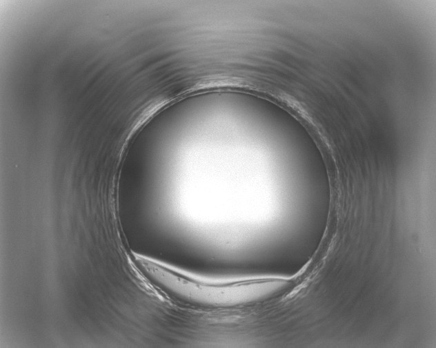 X0000053021137200508051220