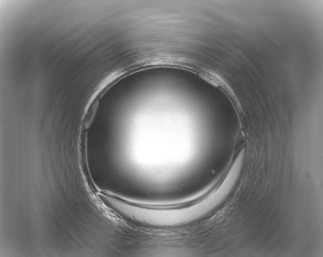 X0000053021138200508051220
