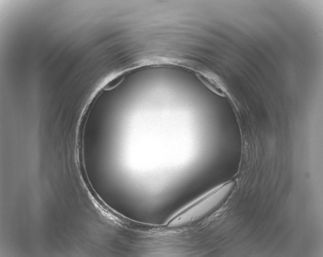 X0000053021143200508051220