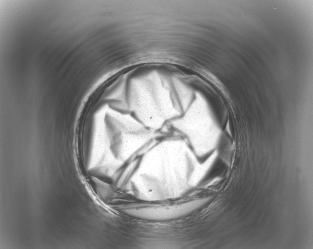 X0000053021144200508051220