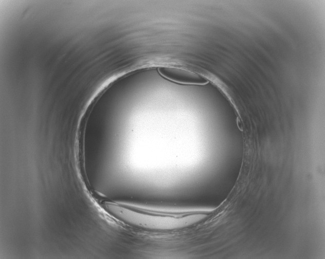 X0000053021147200508051220