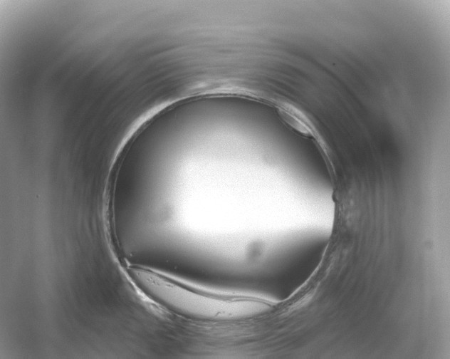X0000053021149200508051220
