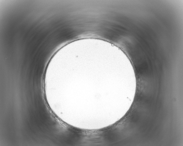 X0000053021150200508051220