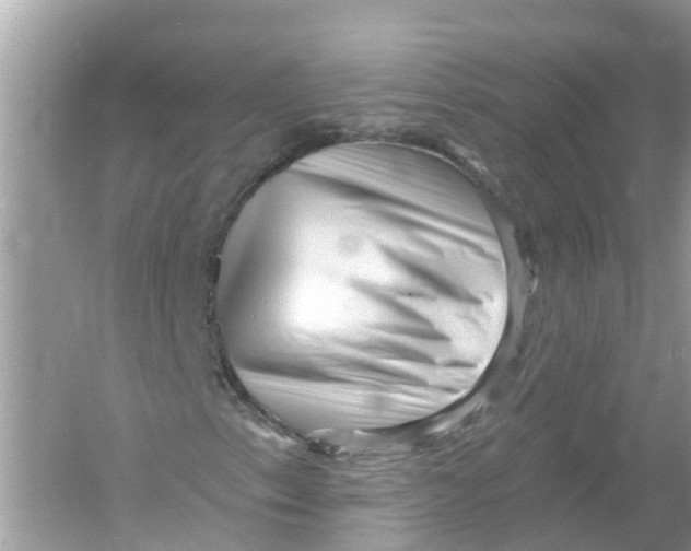 X0000053021153200508051219