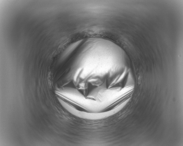 X0000053021156200508051219