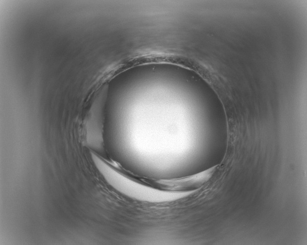 X0000053021157200508051219