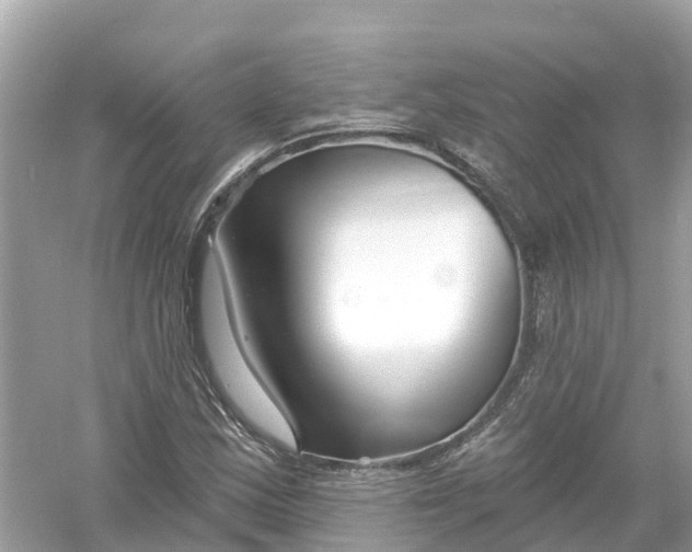 X0000053021163200508051219