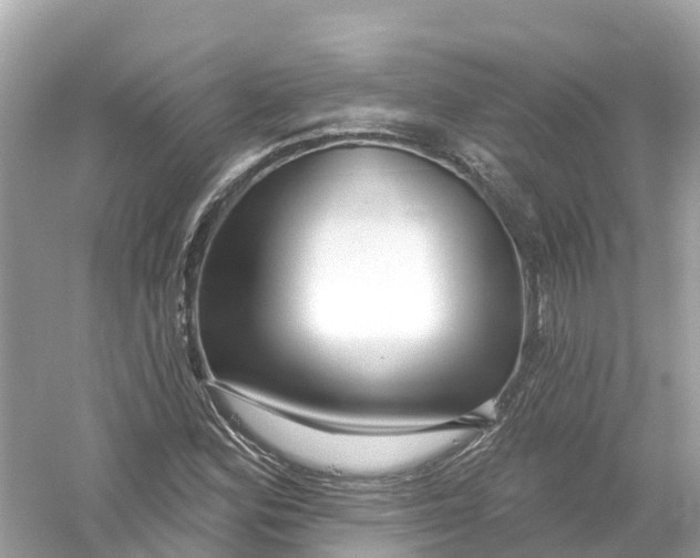 X0000053021164200508051219