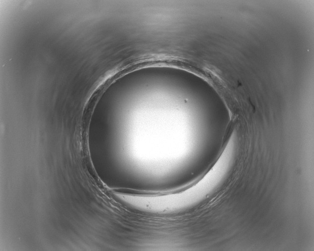 X0000053021165200508051219
