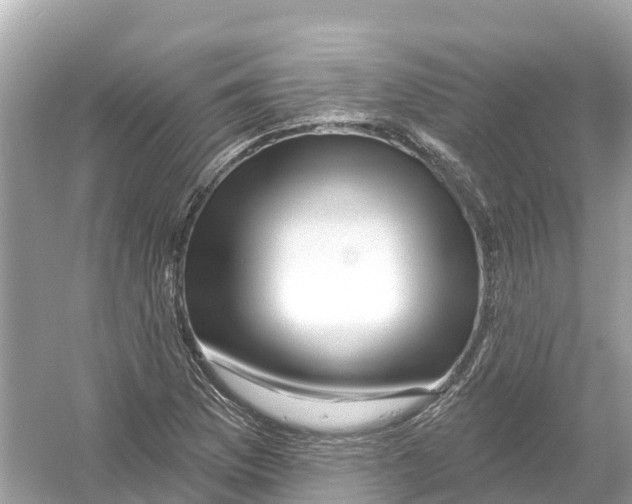 X0000053021169200508051219