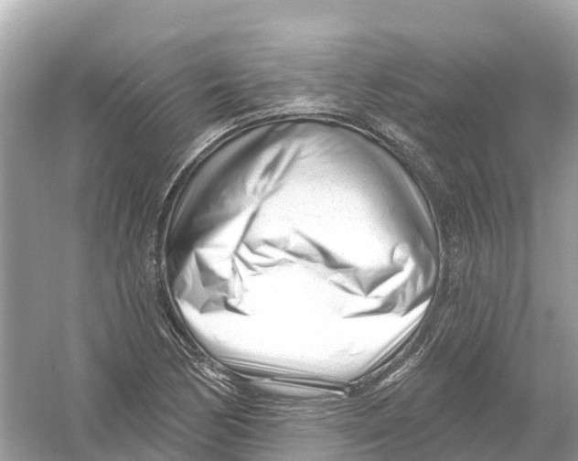 X0000053021170200508051219