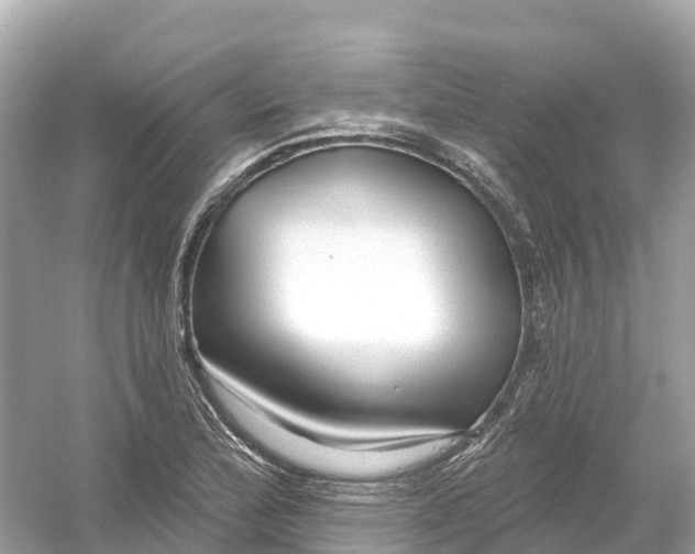 X0000053021172200508051219