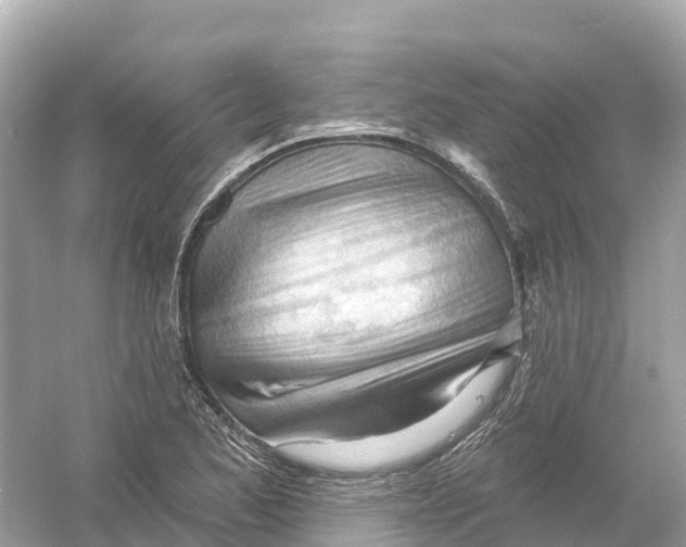 X0000053021173200508051219
