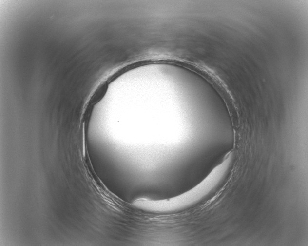 X0000053021175200508051219
