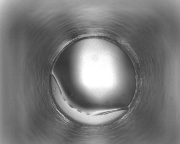 X0000053021177200508051219