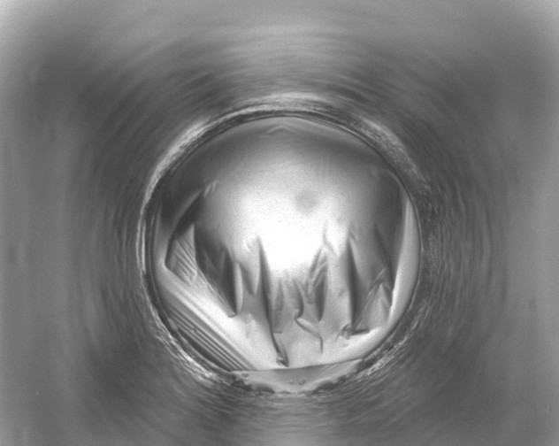 X0000053021180200508051219