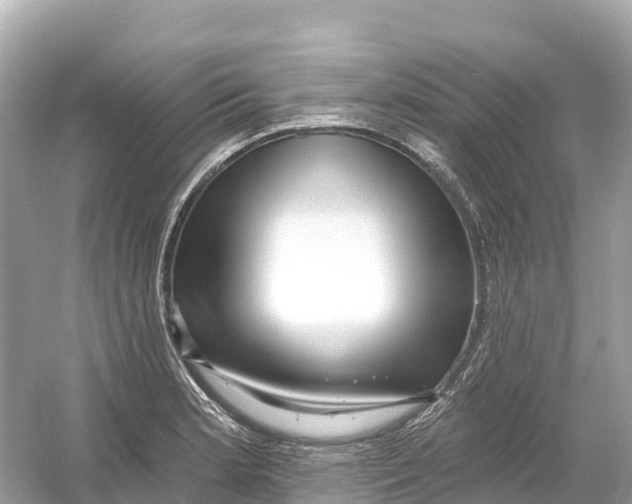 X0000053021181200508051219