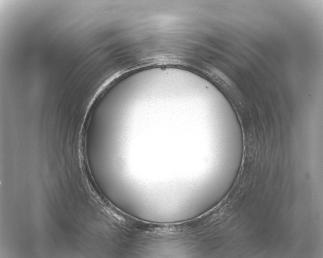 X0000053021182200508051219