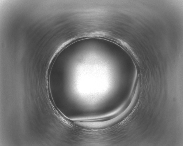 X0000053021184200508051219