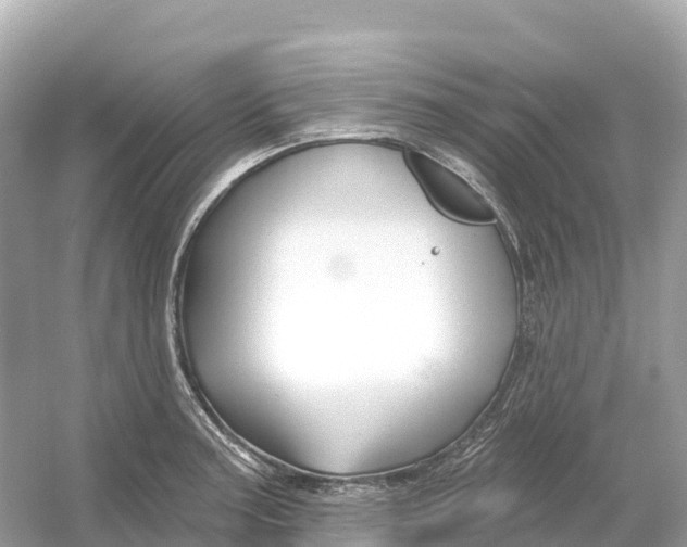 X0000053021187200508051218