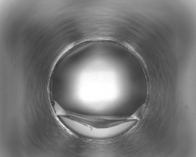 X0000053021189200508051218