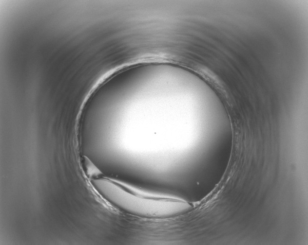 X0000053021192200508051218