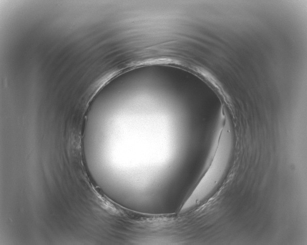 X0000053021193200508051218