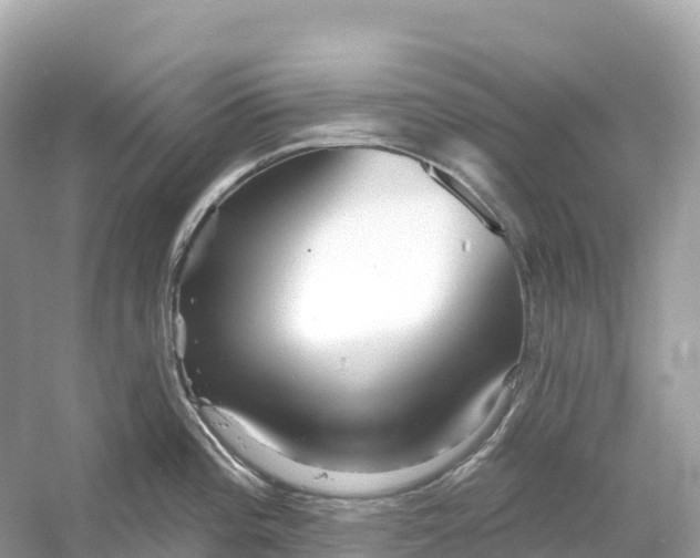 X0000053021196200508051218