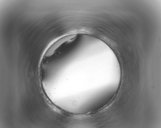 X0000053021200200508051218