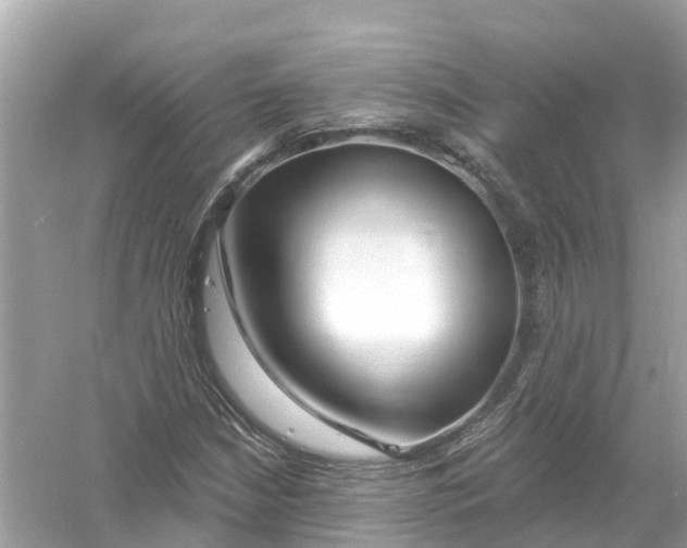 X0000053021210200508051218