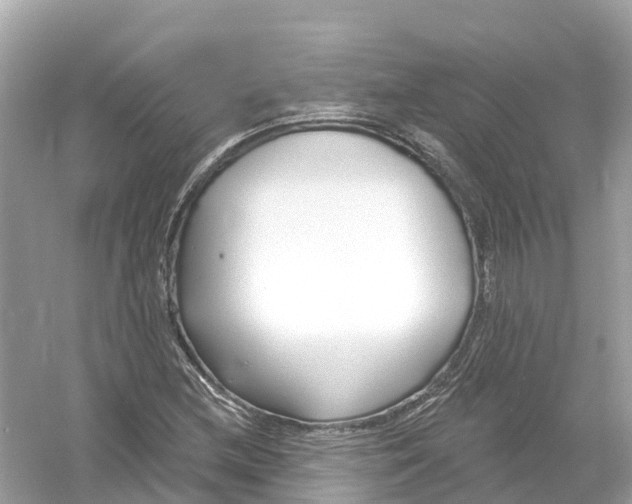 X0000053021212200508051218
