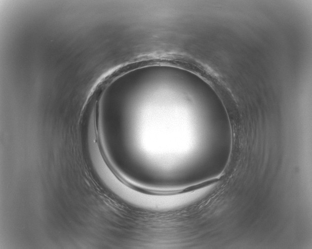X0000053021214200508051218