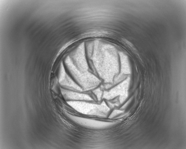X0000053021226200508051218