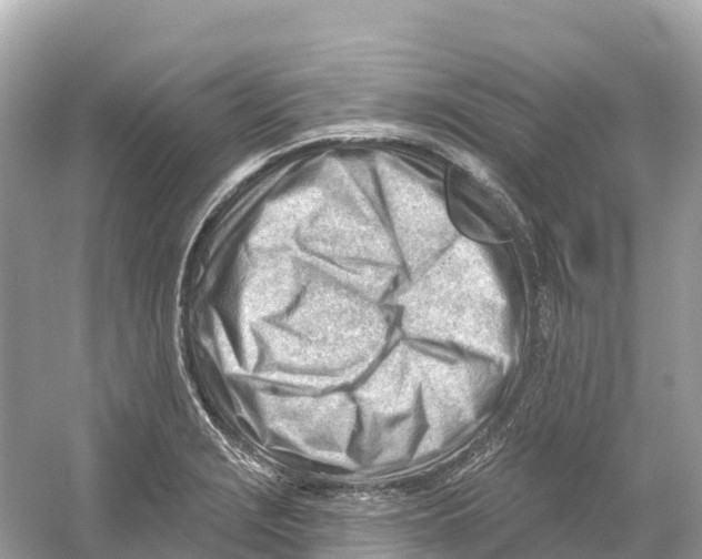 X0000053021229200508051218