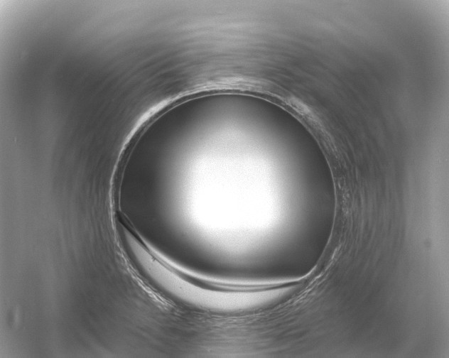 X0000053021230200508051218