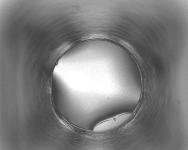 X0000053021241200508051218