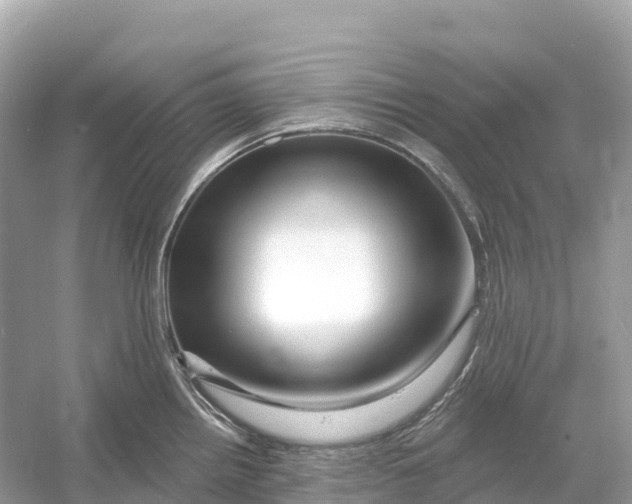 X0000053021242200508051218