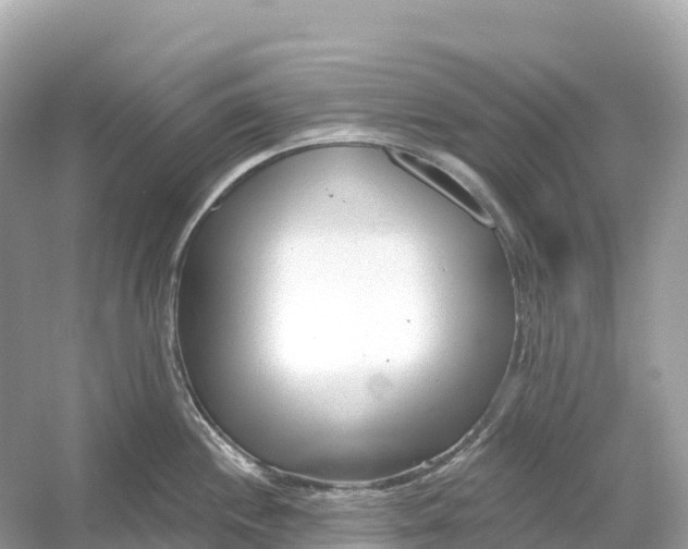 X0000053021244200508051218