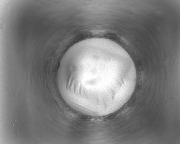X0000053021249200508051217