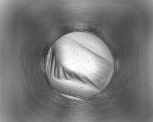 X0000053021251200508051217